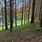 Tokis * Mrkonjic Grad