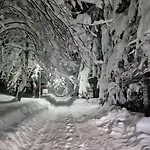 Tokis * Mrkonjic Grad