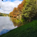 Tokis