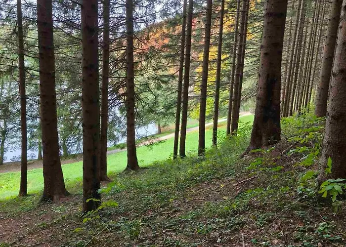 Tokis * Mrkonjic Grad