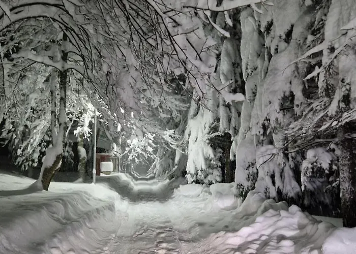 Tokis * Mrkonjic Grad