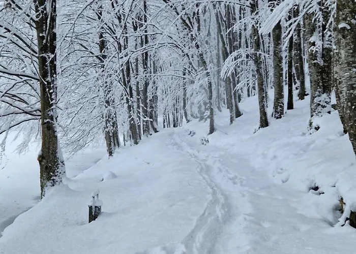 Tokis * Mrkonjic Grad