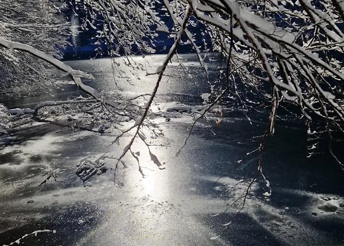 Tokis * Mrkonjic Grad